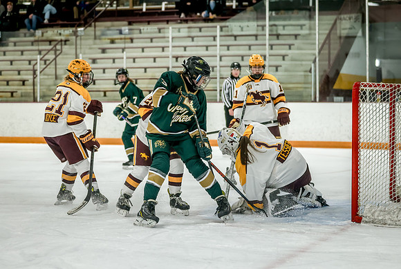Chisago vs Forest Lake JV Hockey 122