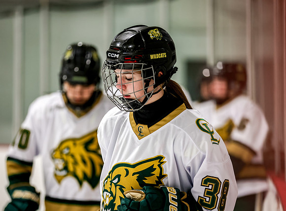 Chisago vs Rogers Varsity Hockey 20