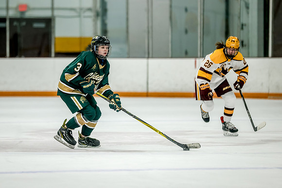 Chisago vs Forest Lake JV Hockey 116