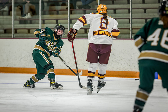 Chisago vs Forest Lake Varsity Hockey 298