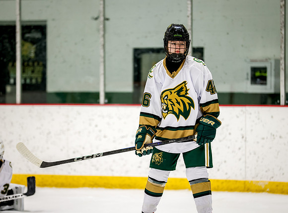 Chisago vs Rogers Varsity Hockey 8