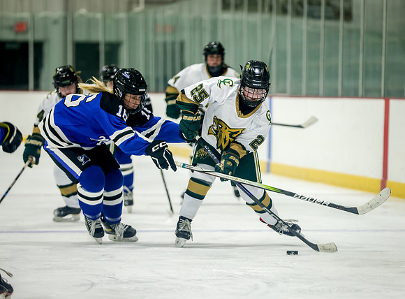 Chisago vs Rogers JV Hockey 170