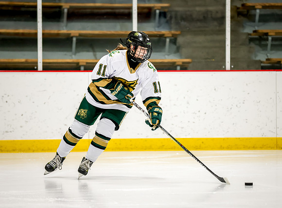 Chisago vs Rogers JV Hockey 32