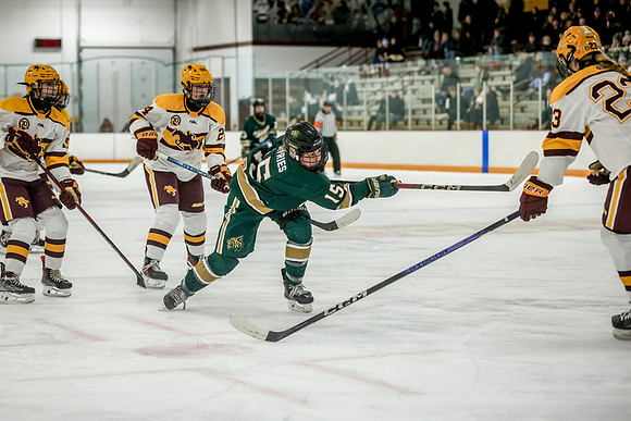 Chisago vs Forest Lake Varsity Hockey 319