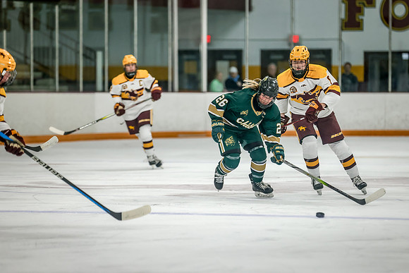 Chisago vs Forest Lake Varsity Hockey 209