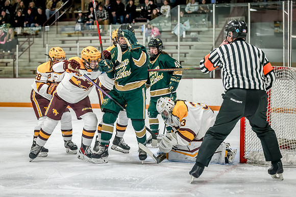 Chisago vs Forest Lake Varsity Hockey 273