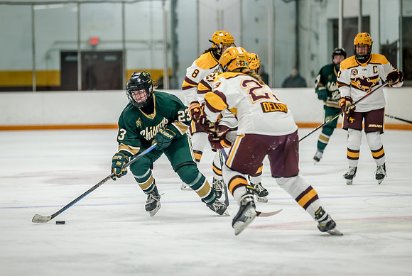 Chisago vs Forest Lake Varsity Hockey 288