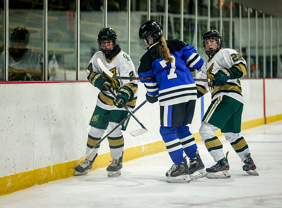 Chisago vs Rogers JV Hockey 93