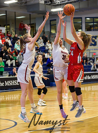Centennial vs Shakopee Girls Basketball - State Tournament 017