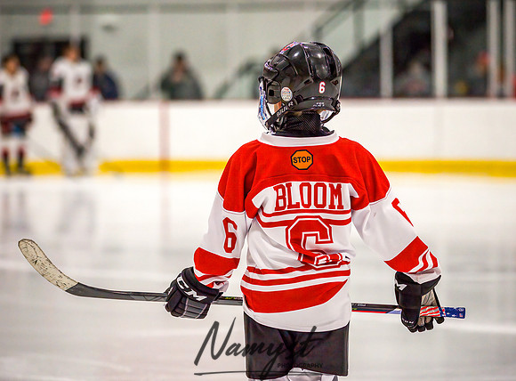 Centennial vs Andover Varsity Hockey 062