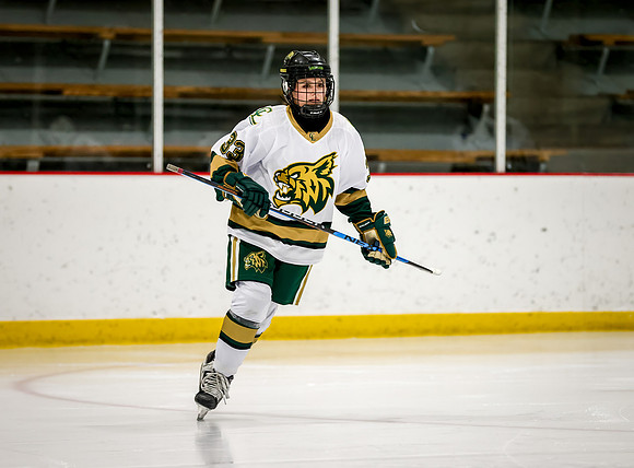 Chisago vs Rogers Varsity Hockey 59