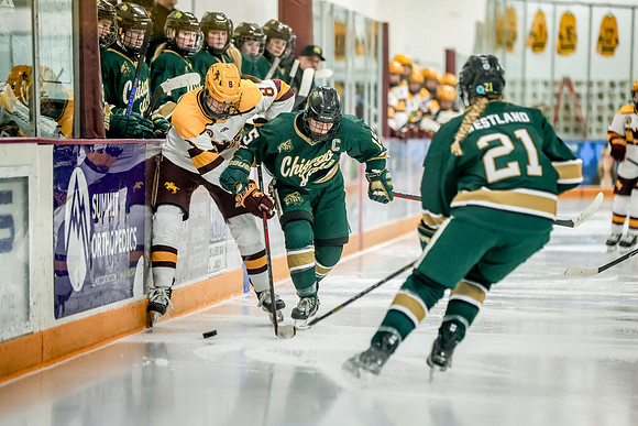 Chisago vs Forest Lake Varsity Hockey 369