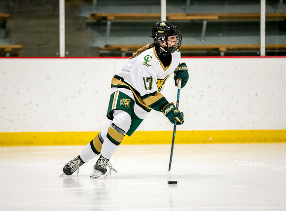 Chisago vs Rogers JV Hockey 28