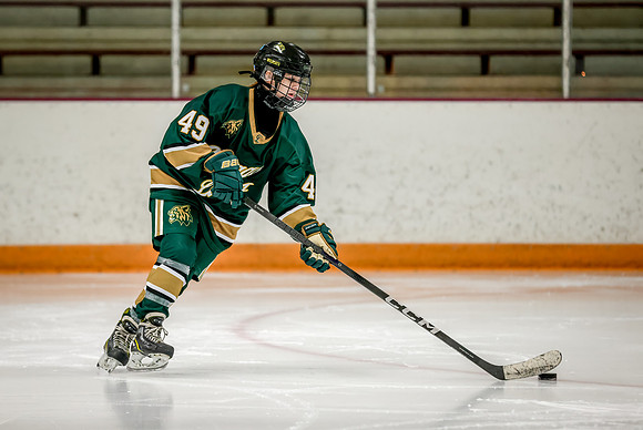 Chisago vs Forest Lake JV Hockey 8