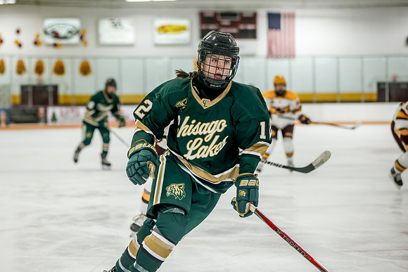 Chisago vs Forest Lake Varsity Hockey 270