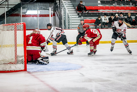 Centennial vs Maple Grove Varsity Hockey 204