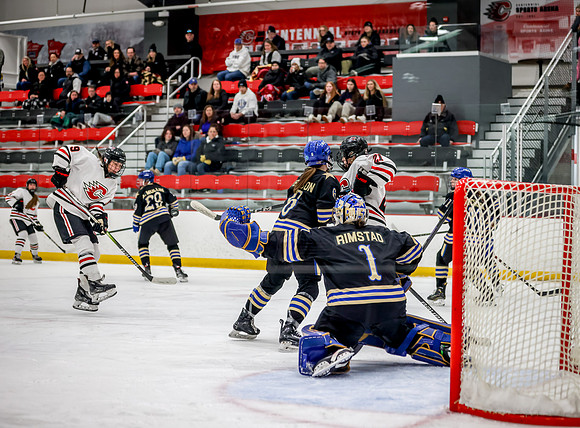 Centennial vs Holy Angels Varsity Hockey 60