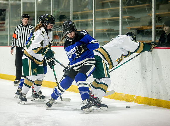 Chisago vs Rogers Varsity Hockey 314