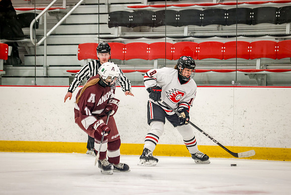 Centennial vs Anoka JV Hockey 58