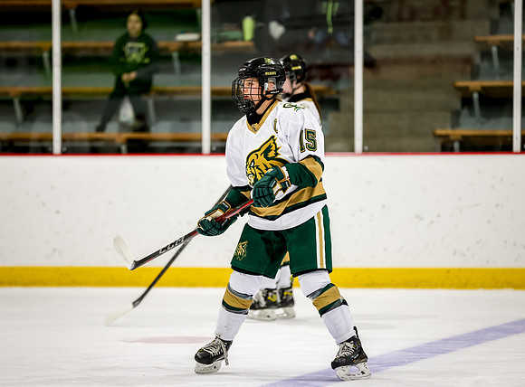 Chisago vs Rogers Varsity Hockey 27