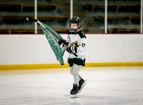 Chisago vs Rogers Varsity Hockey 79