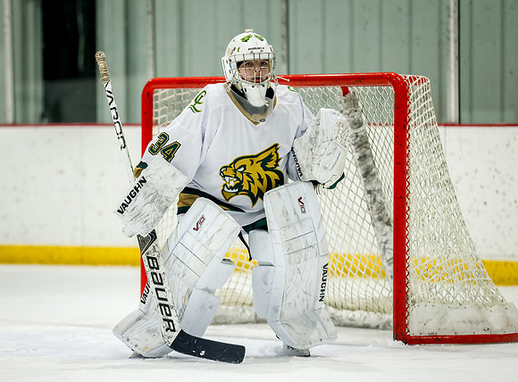 Chisago vs Rogers JV Hockey 203