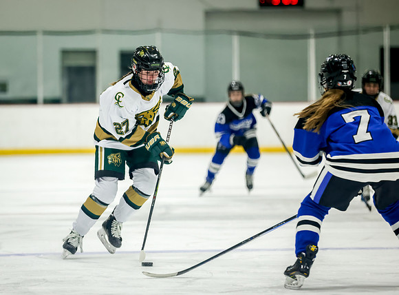 Chisago vs Rogers JV Hockey 80