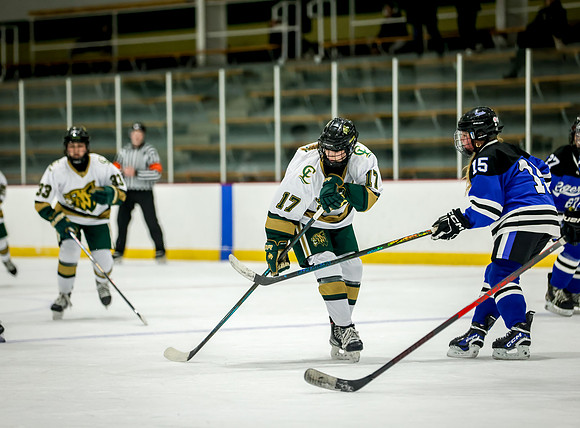 Chisago vs Rogers JV Hockey 279