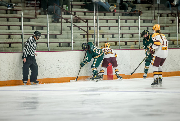 Chisago vs Forest Lake JV Hockey 210