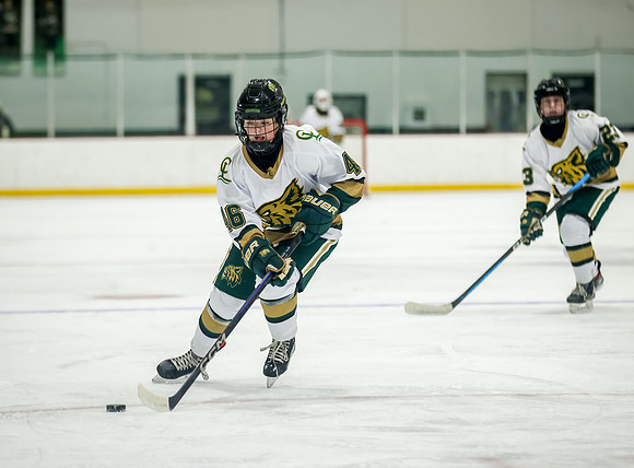 Chisago vs Rogers Varsity Hockey 217