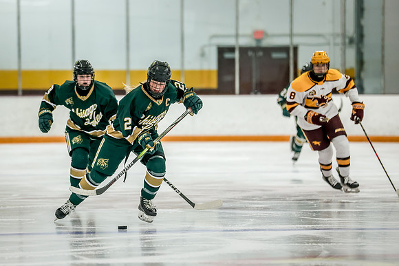 Chisago vs Forest Lake Varsity Hockey 244