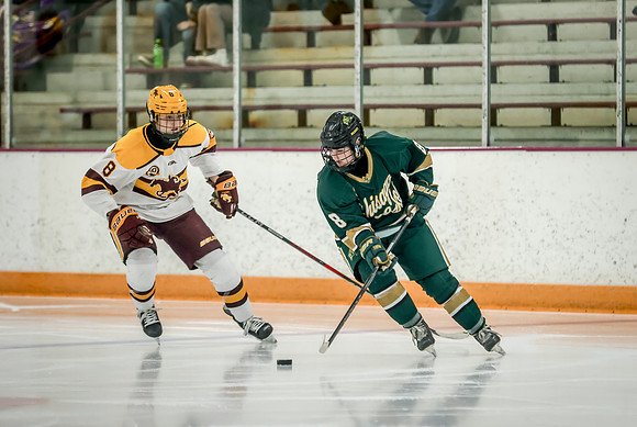 Chisago vs Forest Lake Varsity Hockey 379