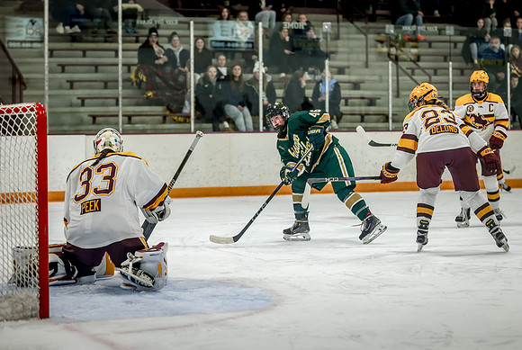 Chisago vs Forest Lake Varsity Hockey 214