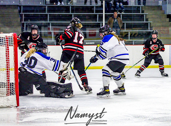 Centennial-Spring Lake Park vs Rogers Girls Varsity Hockey 329
