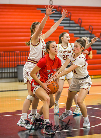 Centennial vs Maple Grove Girls JV Basketball 085