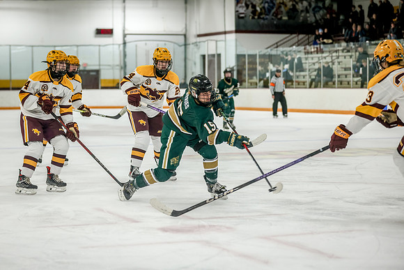 Chisago vs Forest Lake Varsity Hockey 318