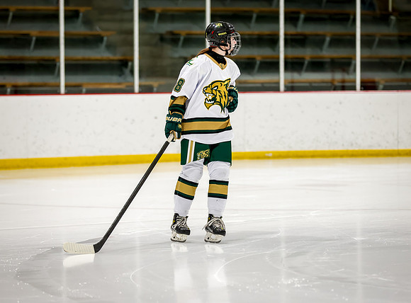 Chisago vs Rogers Varsity Hockey 55