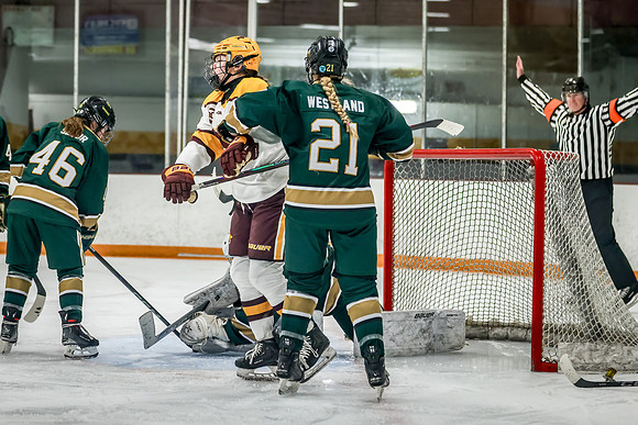 Chisago vs Forest Lake Varsity Hockey 415