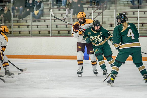 Chisago vs Forest Lake Varsity Hockey 425