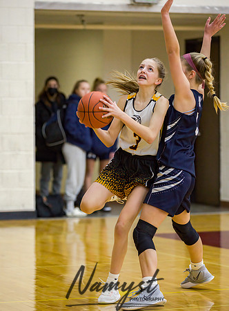 Forest Lake Girls 7 Maroon Basketball 209