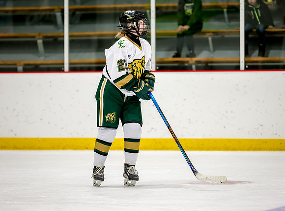 Chisago vs Rogers Varsity Hockey 1