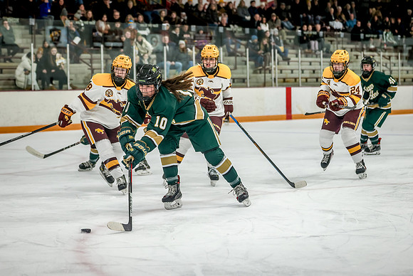 Chisago vs Forest Lake Varsity Hockey 232