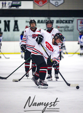 Centennial-Spring Lake Park vs Rogers Girls Varsity Hockey 014