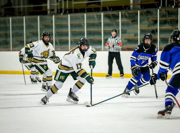 Chisago vs Rogers JV Hockey 275
