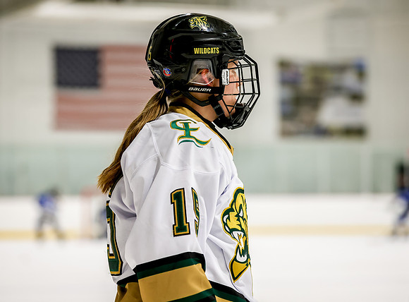 Chisago vs Rogers Varsity Hockey 29