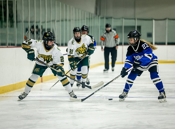 Chisago vs Rogers JV Hockey 66