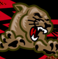 Centennial Basketball Association