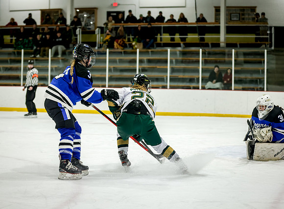 Chisago vs Rogers JV Hockey 284
