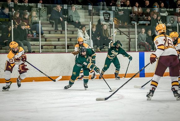 Chisago vs Forest Lake Varsity Hockey 192