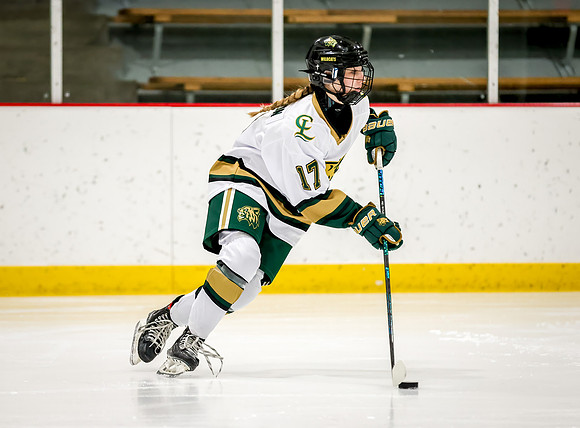 Chisago vs Rogers JV Hockey 29